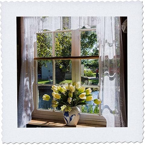 Window with lace curtain and tulips, Holland, Michigan, . -  Square, 12 by 12-inch (qs_206505_4)