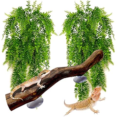 Sürüngen Köşe Şube Tankı  Süslemeleri Sakallı Ejderhalar Bitkiler Asılı Plastik Sahte Tırmanma Teraryum Amfibi Kertenkeleleri için Bitki Dekoru Tepeli Gecko Yılan Pavurya Kurbağaları 3