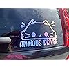 CAT anxious driver